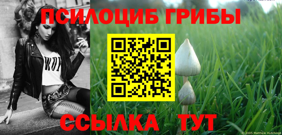 цена   Галлюциногенные грибы Psilocybine cubensis  Псилоцибиновые грибы мицелий  Вход с VPN  Крымск 